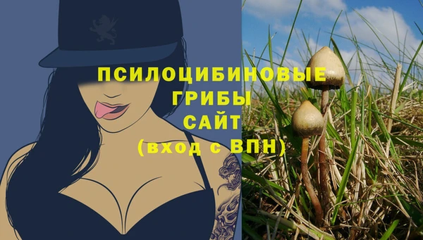 прущая мука Корсаков