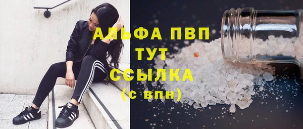 прущие грибы Красноперекопск