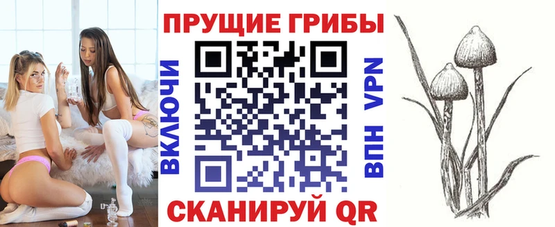 Псилоцибиновые грибы GOLDEN TEACHER  Костерёво 